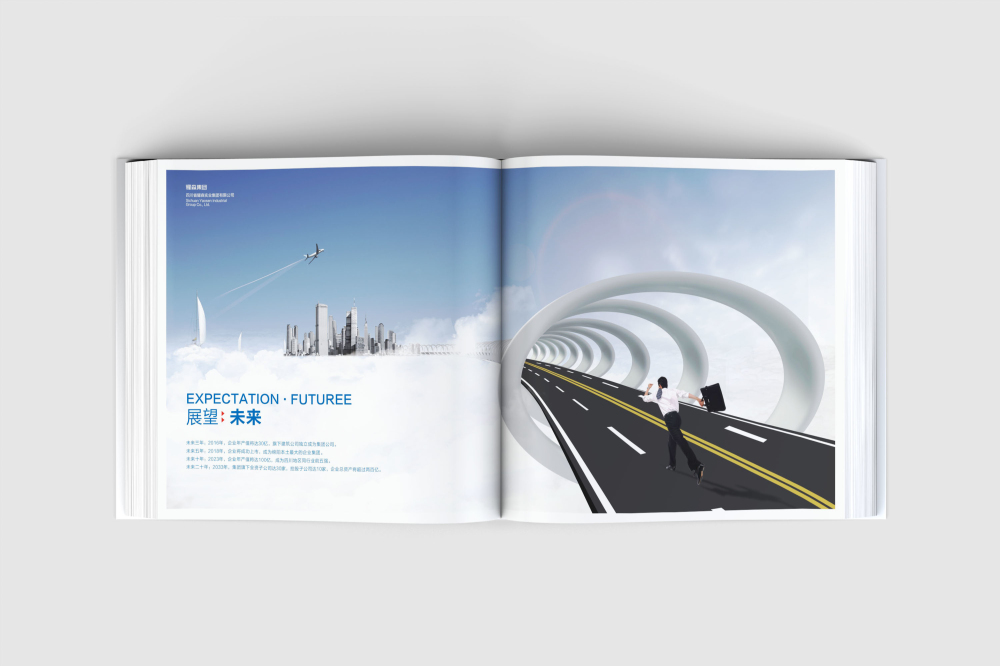 翠峦区画册设计